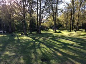 Hebergement Gite Petit Lac : photos des chambres