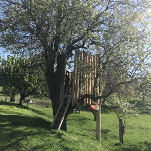 Hebergement La Luniere : photos des chambres