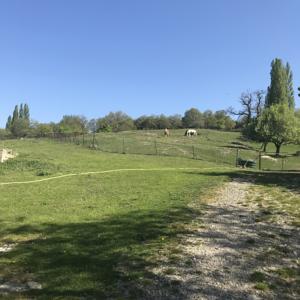 Hebergement La Luniere : photos des chambres