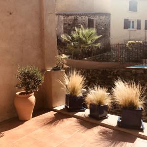 Hebergement Entre Mediterranee et Les Alberes : photos des chambres