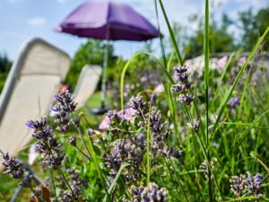 Hebergement Entre Cahors Et Souillac Dans Le Lot : photos des chambres