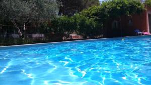 Petit Appartement Pont du Gard : photos des chambres
