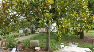 Chambres d'hotes/B&B La Glaciere, ostalaria agricol : photos des chambres