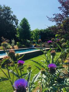 Chambres d'hotes/B&B L'Ecole des Garcons : photos des chambres