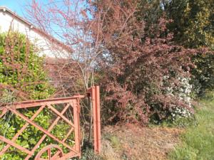 Hebergement Gites de Beaujardin : photos des chambres