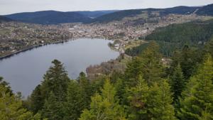 Appartement F2 SUR LES HAUTEURS DE GERARDMER : photos des chambres