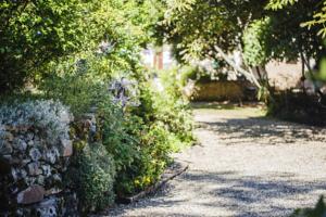 Hebergement Le Cep : photos des chambres