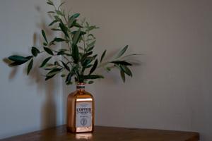 Chambres d'hotes/B&B O Parazard : photos des chambres