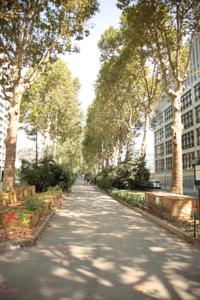 Appartement Danfert-Rochereau Apartment Balcony : photos des chambres