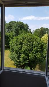 Chambres d'hotes/B&B La Villa Camille : Chambre Double Standard