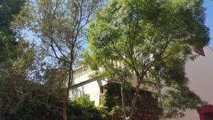 Hebergement La Maison d'Abel : photos des chambres