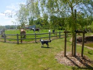 Hebergement Chalet sur la cote d'opale : photos des chambres