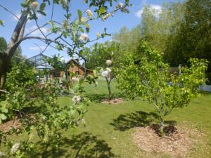 Hebergement Chalet sur la cote d'opale : photos des chambres