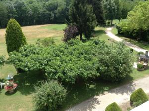 Chambres d'hotes/B&B Chateau De Benac : photos des chambres