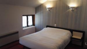 Hotel Le Ponant : Chambre Double 