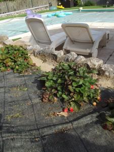 Hebergement Gite du Prieure : photos des chambres