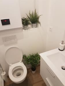 Appartement 11 Rue Rouget de l'Isle-Villa Lilloise : Appartement 1 Chambre