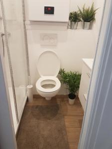 Appartement 11 Rue Rouget de l'Isle-Villa Lilloise : photos des chambres
