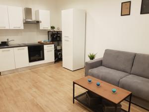 Appartement 11 Rue Rouget de l'Isle-Villa Lilloise : photos des chambres
