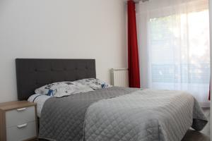Appartement Cosy Apartment : photos des chambres
