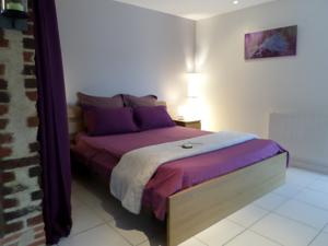 Hebergement La Lavandiere Spa Jacuzzi : photos des chambres