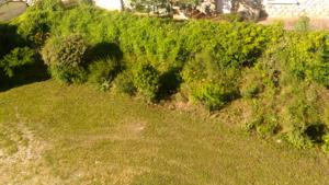 Appartement AU PIED DU CANIGOU - T1Bis La Pena 4 etoiles : photos des chambres