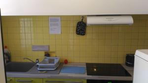 Appartement AU PIED DU CANIGOU - T2 Les Pommiers 4 etoiles : photos des chambres