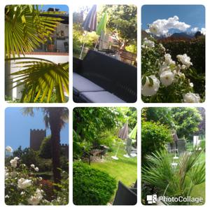 Hebergement AU PIED DU CANIGOU- Gite 4 etoiles dans belle villa avec jardin : photos des chambres