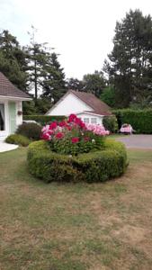 Chambres d'hotes/B&B Le Point du Jour : photos des chambres
