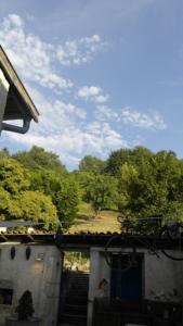 Hebergement MUSTACH House : photos des chambres