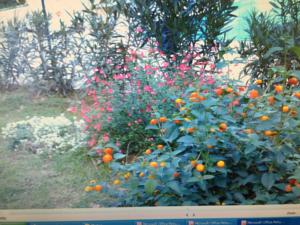 Hebergement Villa Molinie : photos des chambres