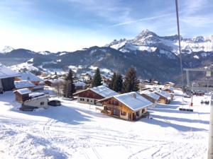 Hebergement Chalet L´Ours : photos des chambres