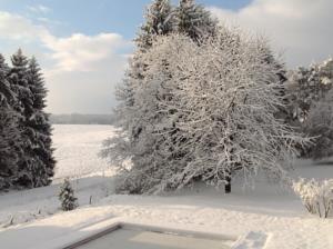Chambres d'hotes/B&B B&B Alsace dans grande maison avec piscine : photos des chambres