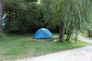 Hebergement Camping La Ferme de Castellane : photos des chambres