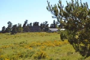 Hebergement Les Logis des Chardons : photos des chambres