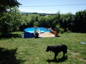 Hebergement Le Petit Barthe : photos des chambres