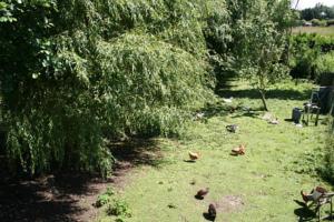 Hebergement Gite De La Riviere : photos des chambres