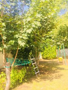 Hebergement Grande Maison Jardin Terrasse Troyes : photos des chambres