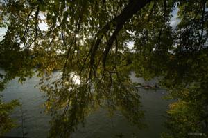 Appartement Gite bord de Marne Paris : photos des chambres
