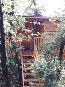 Chambres d'hotes/B&B eric vidal : Chambre Double - Vue sur Jardin