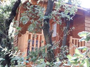 Chambres d'hotes/B&B eric vidal : photos des chambres