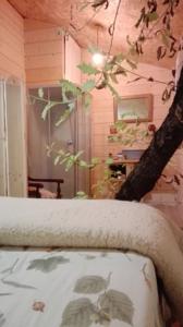 Chambres d'hotes/B&B eric vidal : photos des chambres