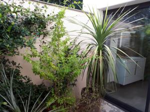 Chambres d'hotes/B&B eric vidal : photos des chambres