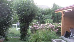 Appartement Le Jardin du Chow chow : photos des chambres