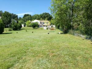 Appartement 128 Chemin de Causse : photos des chambres