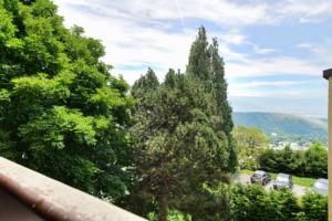 Appartement Jolie Studio renove : photos des chambres