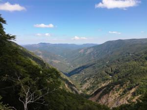 Hebergement Maison typique des Cevennes : photos des chambres