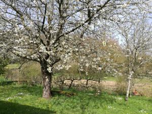 Hebergement French cottage in the Loire Valley : photos des chambres