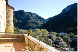 Hotel Chateauzen : photos des chambres
