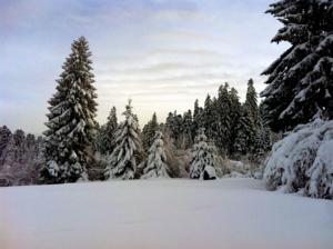 Hebergement Gite les trois pierres : photos des chambres